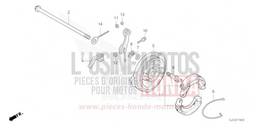 PANNEAU DE FREIN ARRIERE CRF50FP de 2023